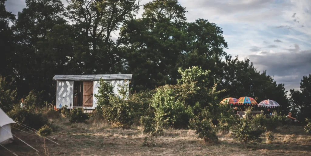 Wagon Edit 154 1 Scaled.jpg 1024x514